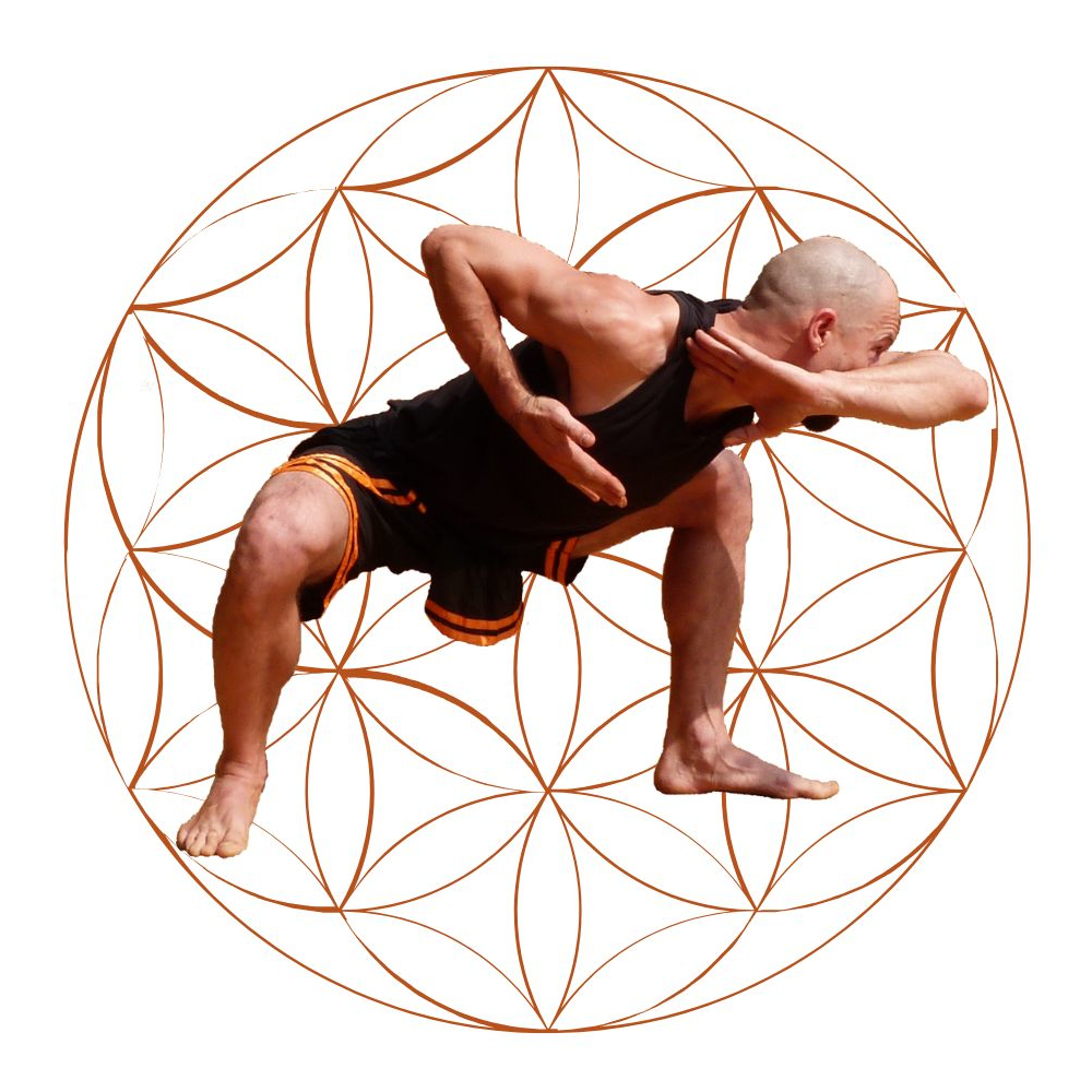 Lion Posture Flower of Life